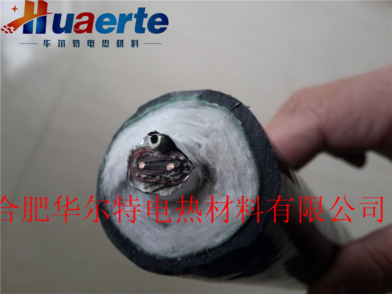 自限温一体化不锈钢伴热管（1/8"）